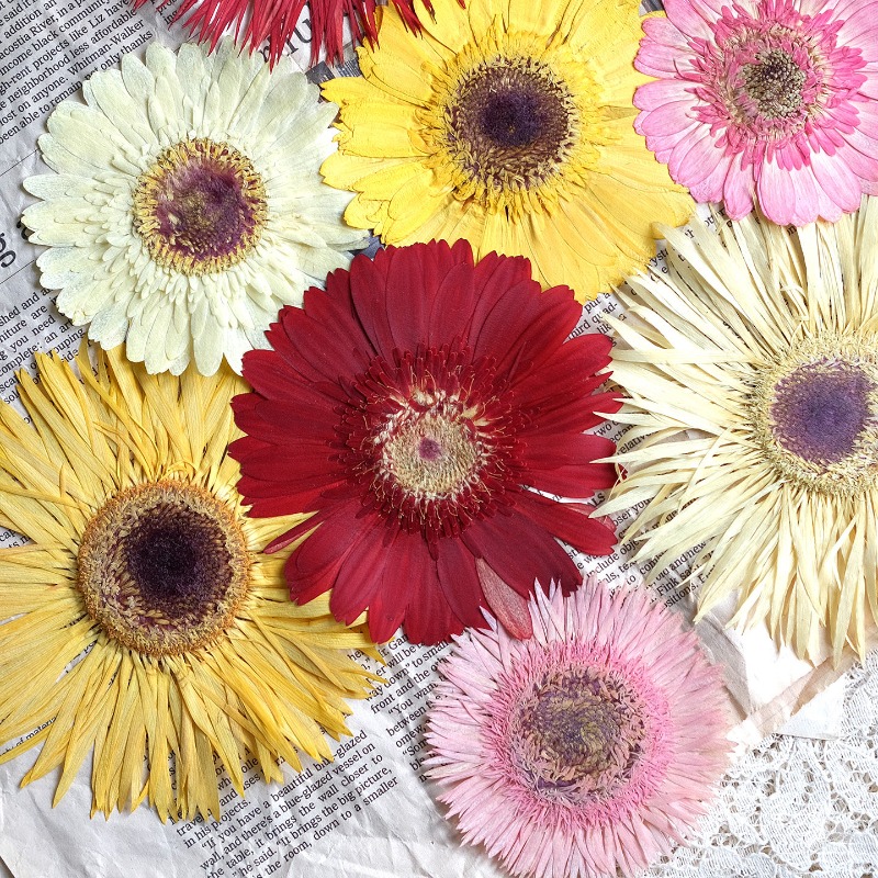 1pcs/7-9cm,Pressed Gerbera Dri - Resin Art Sticker recension och pris