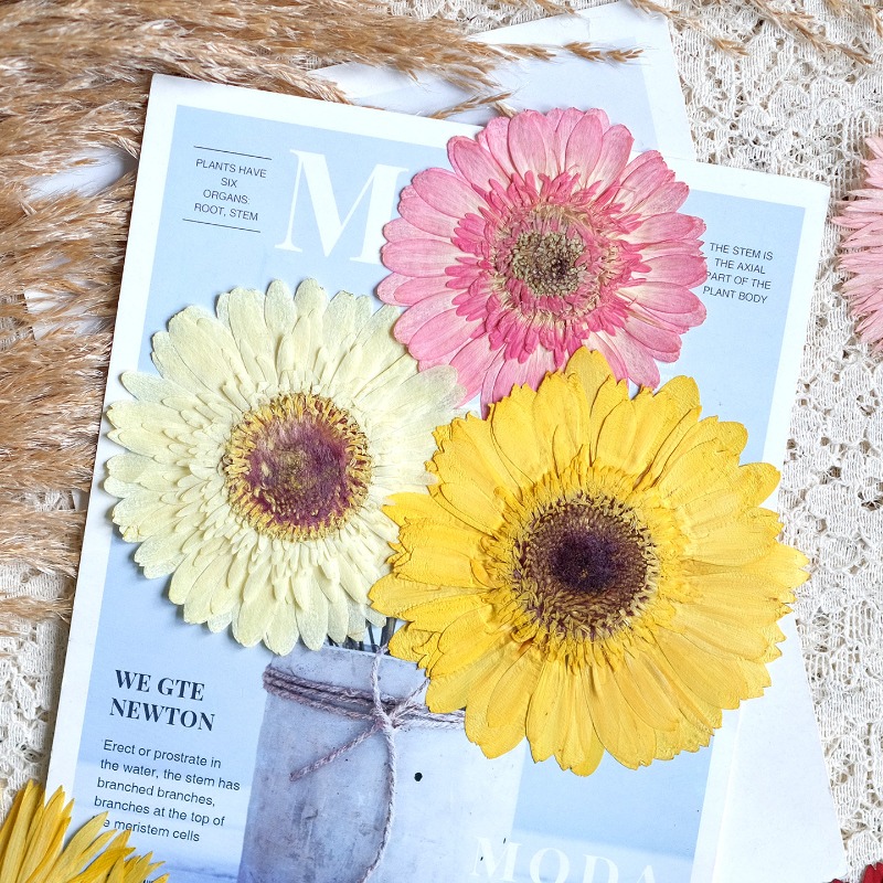1pcs/7-9cm,Pressed Gerbera Dri - Resin Art Sticker recension och pris