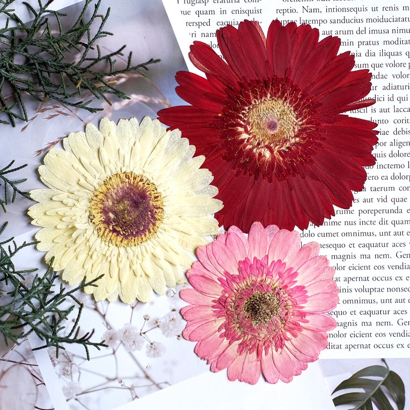 1pcs/7-9cm,Pressed Gerbera Dri - Resin Art Sticker recension och pris