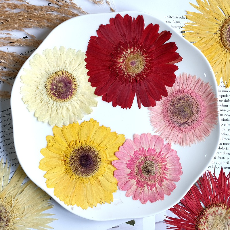 1pcs/7-9cm,Pressed Gerbera Dri - Resin Art Sticker recension och pris